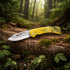 DOĞADA<br>ÖZGÜRLÜK