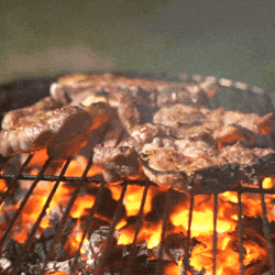 MANGAL<br>IZGARA