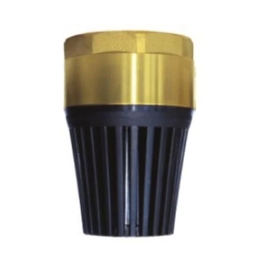 BFS 1 İnch Yaylı Dip Klape
