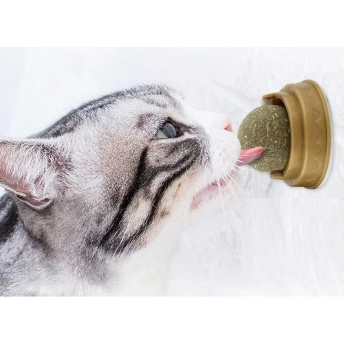 Kedi Nanesi Oyun Topu Kedi Nanesi Oyun Topu
