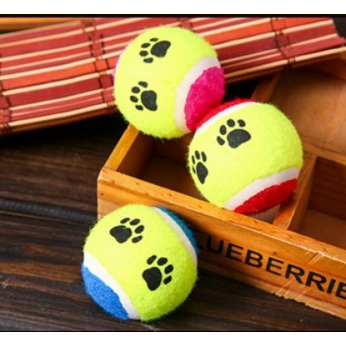 At Getir Köpek Eğitim Topu (5271)