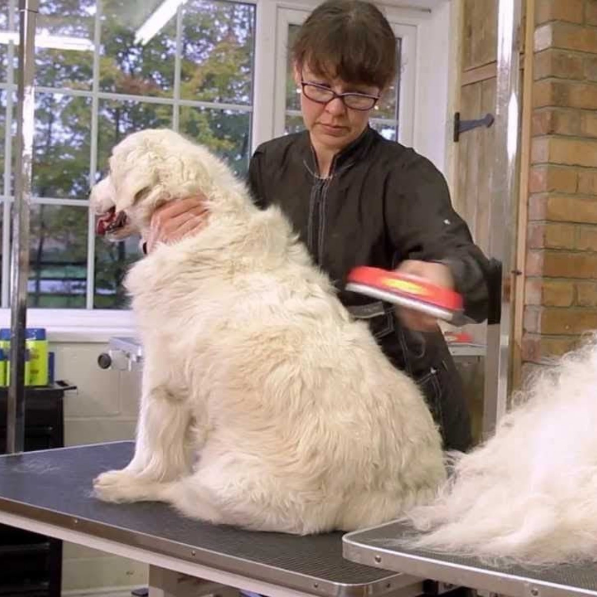 23 KG Üzeri Uzun Tüylü Köpekler İçin Tüy Toplayıcı Ergonomik Tarak (5271)
