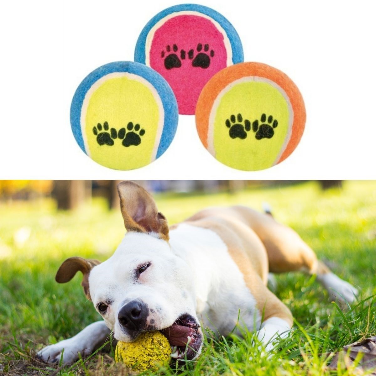 3&apos;lü Renkli Desenli Tenis Topu Kedi Köpek Oyuncağı (5271)
