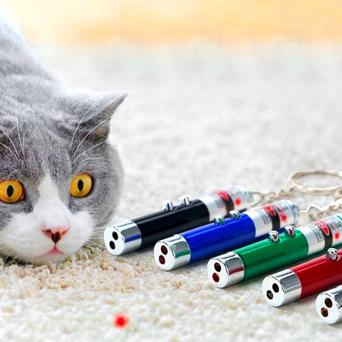 3 Fonksiyonlu Kırmızı Beyaz Işıklı Led Lazer Kedi Köpek Oyuncak Anahtarlık (5271)