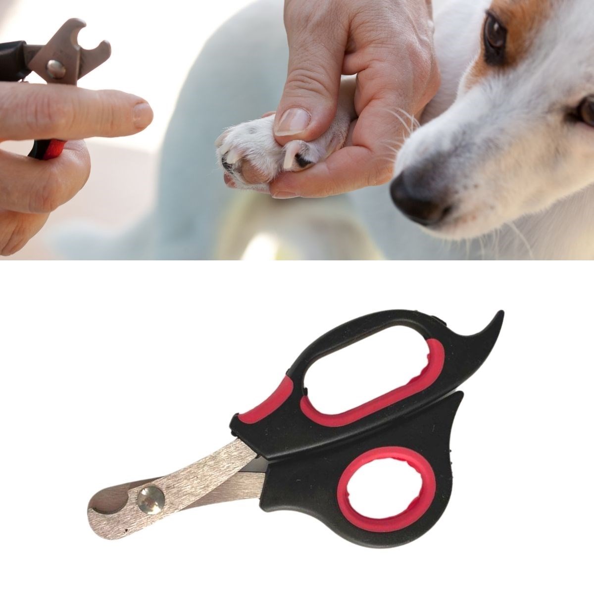 Büyük Irk Köpek Kedi Çelik Uçlu Evcil Hayvan Tırnak Makası Pati Bakım Aleti Ergonomik Kaymaz (5271)