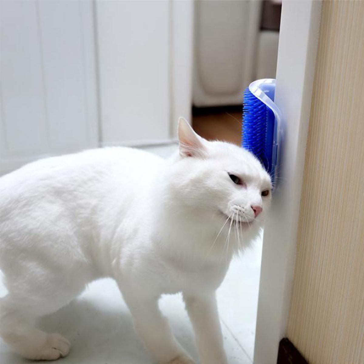 Pratik Kedi Tüyü Kaşıma Ve Tarama Aparatı Duvara Monte Kaşıma Aleti (5271)