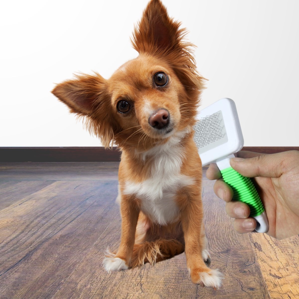 Kedi Köpek Telli Küçük Boy Tüy Bakım Seti Evcil Hayvan Tarama Fırçası (5271) Kedi Köpek Telli Küçük Boy Tüy Bakım Seti Evcil Hayvan Tarama Fırçası (5271)