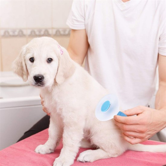 Kedi Köpek Tüy Toplayıcı Kendini Temizleyebilen Ergonomik Saplı Evcil Hayvan Tarağı Mavi (5271) Kedi Köpek Tüy Toplayıcı Kendini Temizleyebilen Ergonomik Saplı Evcil Hayvan Tarağı Mavi (5271)