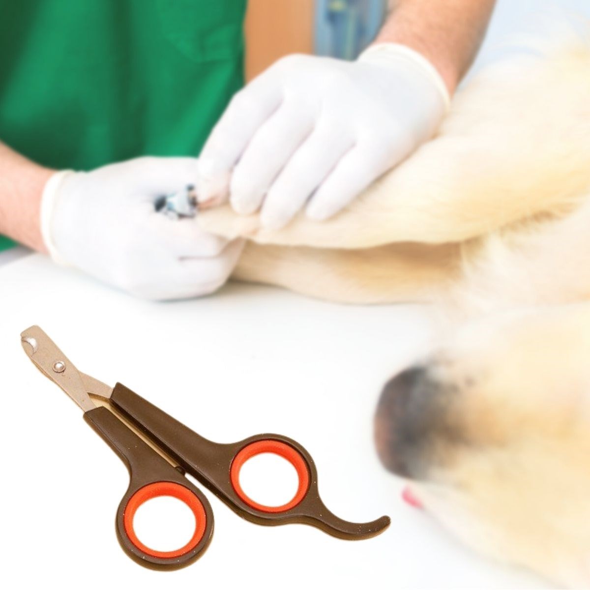 Küçük Çelik Uçlu Kedi Köpek Evcil Hayvan Tırnak Makası Pati Bakım Aleti Ergonomik Kaymaz Sap (5271)