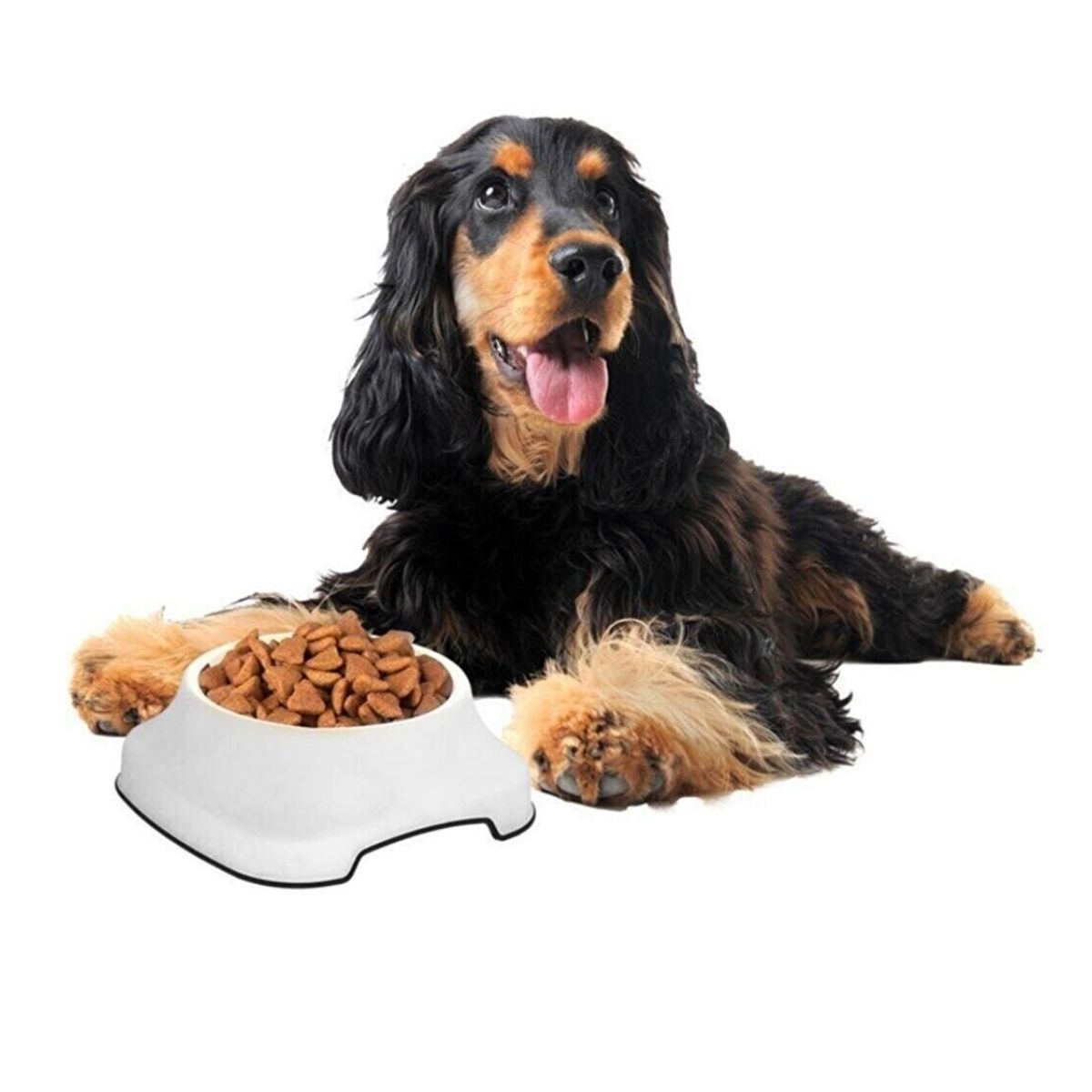 Silikon Kaydırmaz Taban Plastik Kedi ve Köpek Mama ve Su Kabı 2 L (5271)