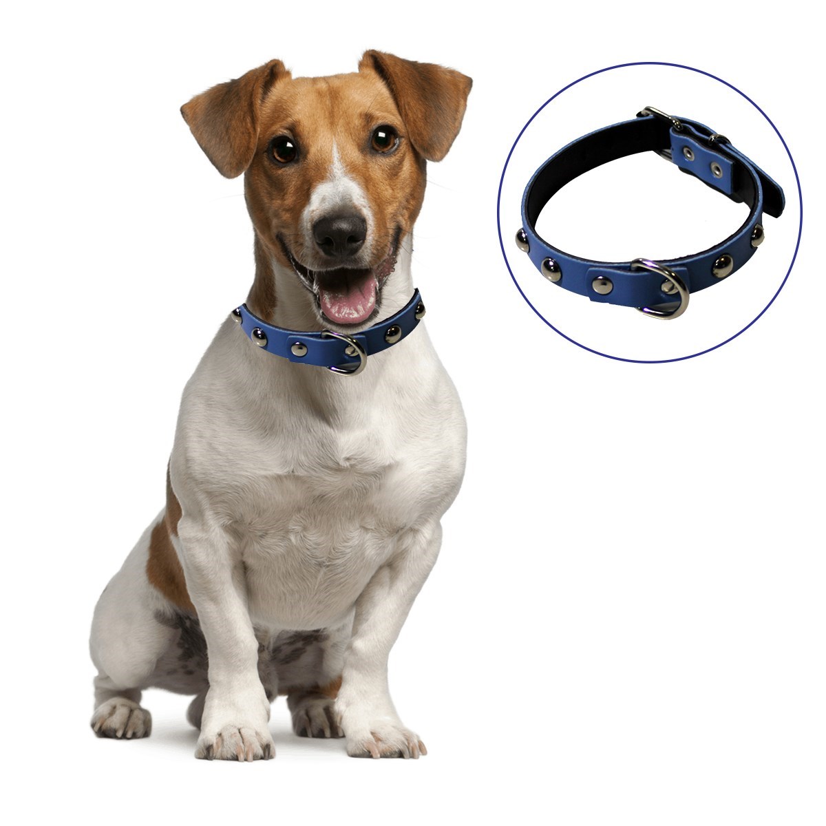 Yumuşak Dokulu Deri Köpek Gezdirme Boyun Tasması (Large) (5271)