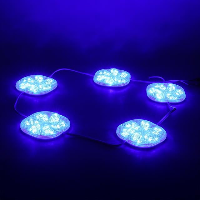 12 Volt 3 Watt Mavi Sabit 6565-2835 Modül Led (5271) 12 Volt 3 Watt Mavi Sabit 6565-2835 Modül Led (5271)