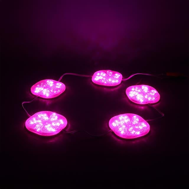 12 Volt 3 Watt Pembe Yanıp Sönen 6565-2835 Modül Led (5271) 12 Volt 3 Watt Pembe Yanıp Sönen 6565-2835 Modül Led (5271)