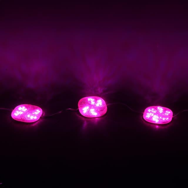 12 Volt 3 Watt Pembe Yanıp Sönen 6565-2835 Modül Led (5271) 12 Volt 3 Watt Pembe Yanıp Sönen 6565-2835 Modül Led (5271)
