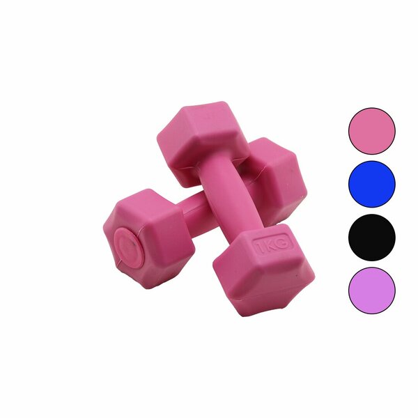 1KG PLASTİK KÖŞELİ DAMBIL 2 PARÇA HERHANGİ BİR RENK GÖNDERİLİR (5271)