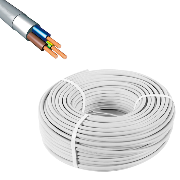 3 X 2.5 CCA TTR KABLO (100 METRE) (5271)