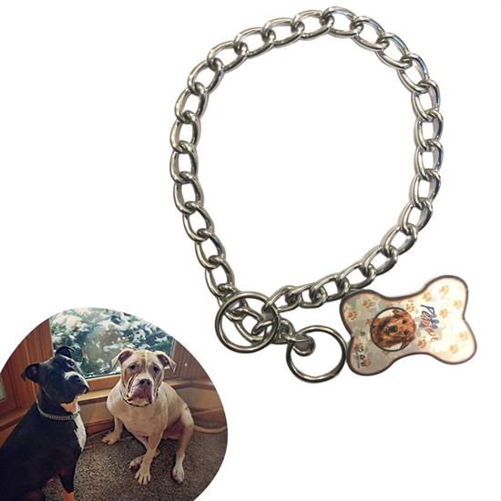 65 cm Uzunlukta Zincir Model Köpek İçin Boyun Tasması (5271)