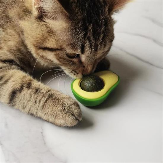 Avokado Model Yapışkanlı Kedi Oyuncağı Yenilebilir Kedi Nanesi Otu (5271)