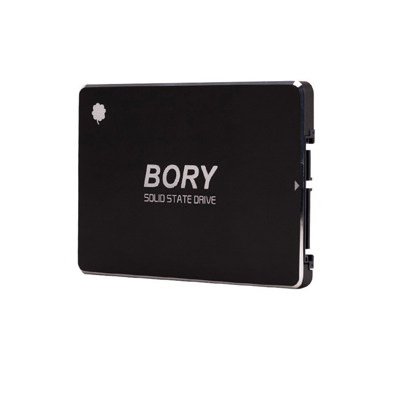 BORY R500-C128G SATA3 128 GB SSD 550/510 MBS HARDDİSK (5271)