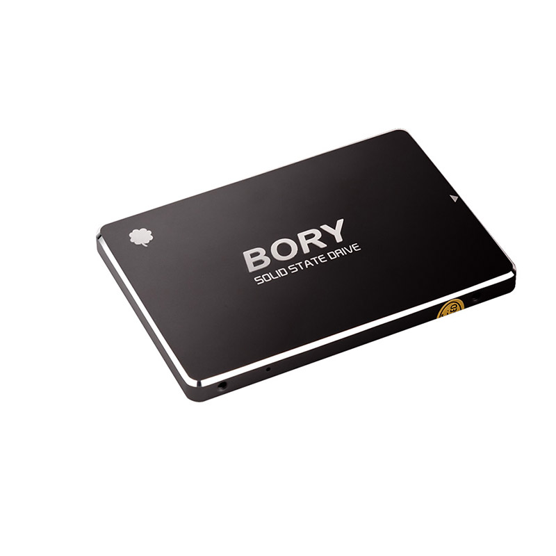 BORY R500-C128G SATA3 128 GB SSD 550/510 MBS HARDDİSK (5271)