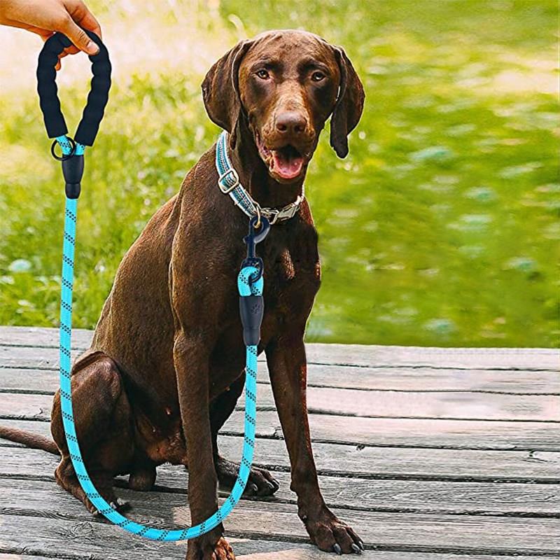 Reflektörlü Fosforlu Köpek Gezdirme Halatı Tasma Kayışı Metal Kancalı 130 cm (5271) Reflektörlü Fosforlu Köpek Gezdirme Halatı Tasma Kayışı Metal Kancalı 130 cm (5271)
