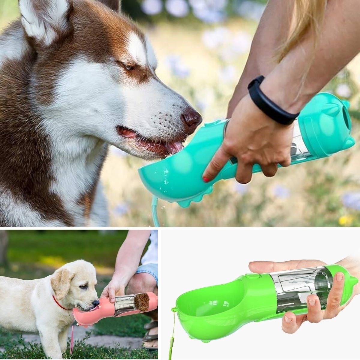 Taşınabilir Hazneli Mama Kaplı ,Kaka Poşetli Kedi,Köpek Suluğu-300ml (5271)