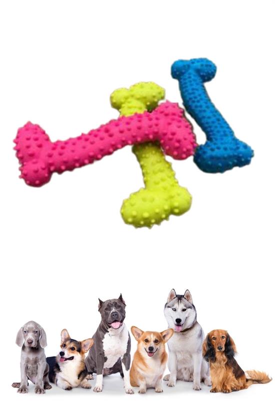 Tiny Kemik Oyuncağı Tırtıklı Yüzey Küçük Kemik Plastik Köpek Oyuncağı (5271) Tiny Kemik Oyuncağı Tırtıklı Yüzey Küçük Kemik Plastik Köpek Oyuncağı (5271)