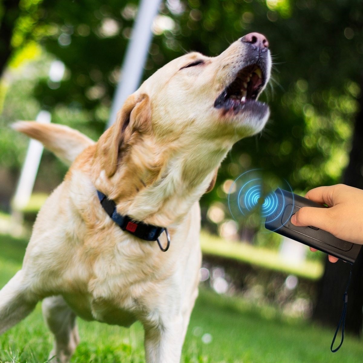 Ultrasonik Köpek Kovucu ve Eğitici Cihaz (5271) Ultrasonik Köpek Kovucu ve Eğitici Cihaz (5271)