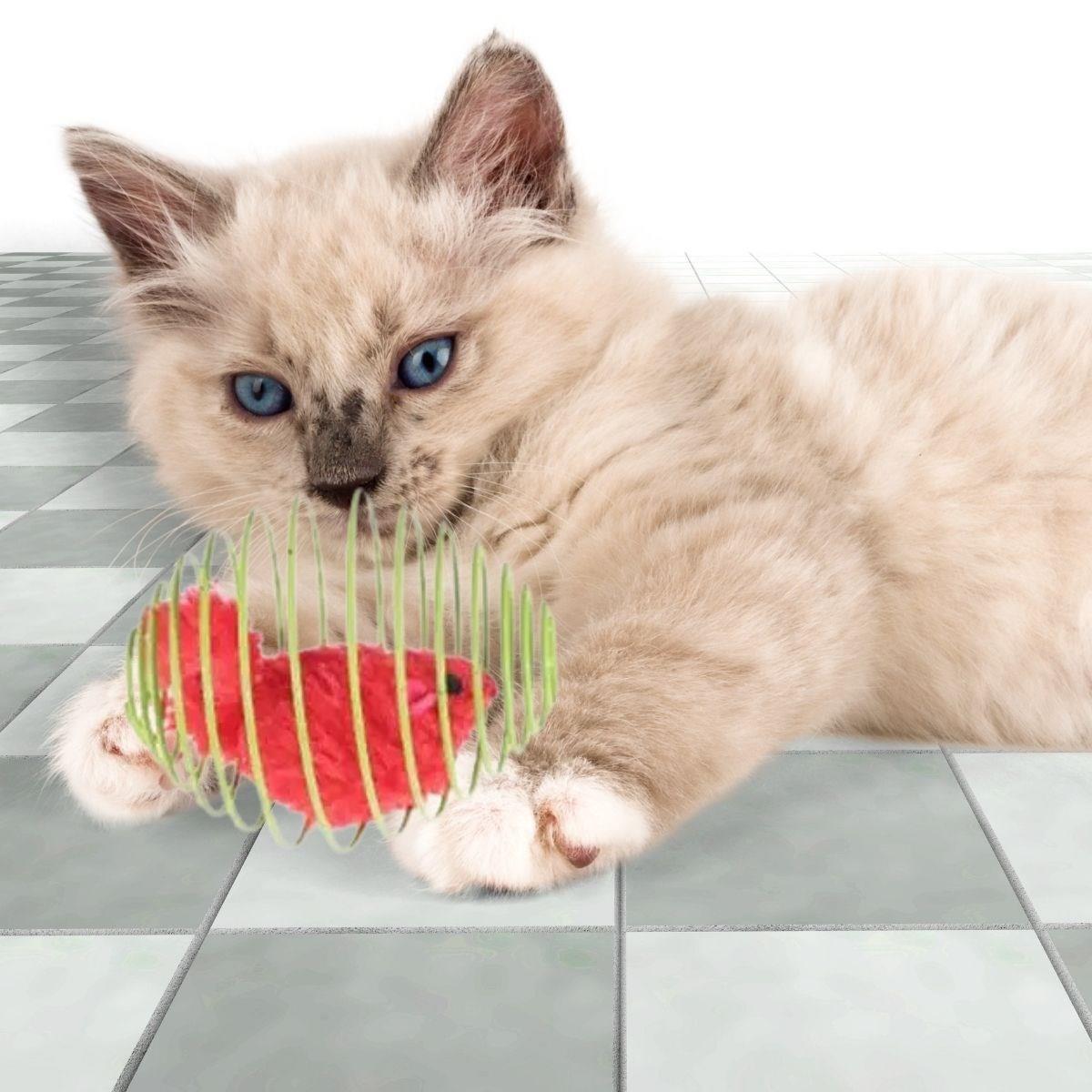 Yaylı Metal Fareli Kafes Kedi Oyun Topu Sıçrayan Spiral Kedi Topu (5271) Yaylı Metal Fareli Kafes Kedi Oyun Topu Sıçrayan Spiral Kedi Topu (5271)